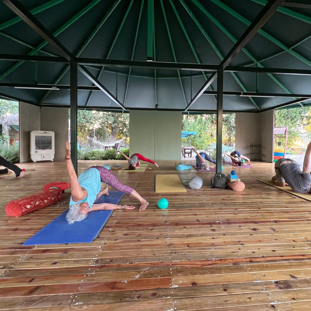 Turkey yoga-3